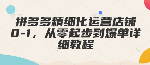 拼多多精细化运营店铺0-1，从零起步到爆单详细教程-hcnxn