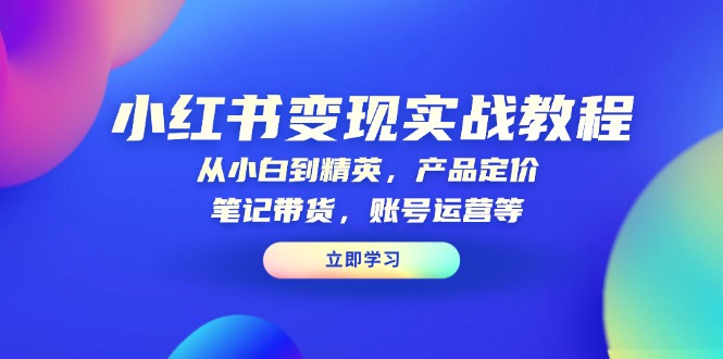 小红书变现实战教程：从小白到精英，产品定价，笔记带货，账号运营等-hcnxn