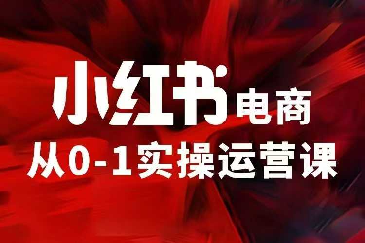 小红书电商运营，97节小红书vip内部课，带你实现小红书赚钱-hcnxn