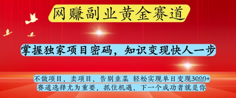 网创副业黄全赛道，掌握独家项目密码，知识变现快人一步，告别韭菜轻松实现单日变现1k+【揭秘】-hcnxn
