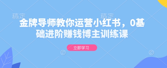 金牌导师教你运营小红书，0基础进阶赚钱博主训练课-hcnxn