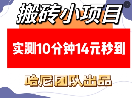 搬砖小项目，实测10分钟14元秒到，每天稳定几张(赠送必看稳定)-hcnxn