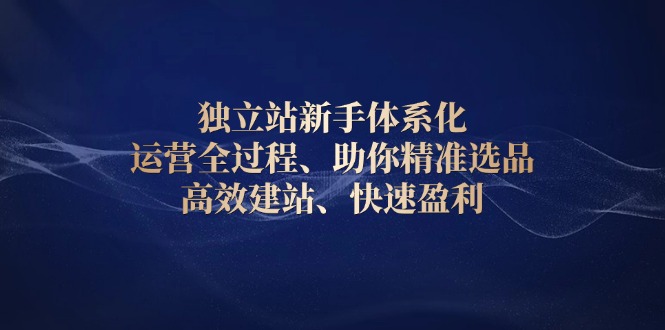 独立站新手体系化 运营全过程，助你精准选品、高效建站、快速盈利-hcnxn