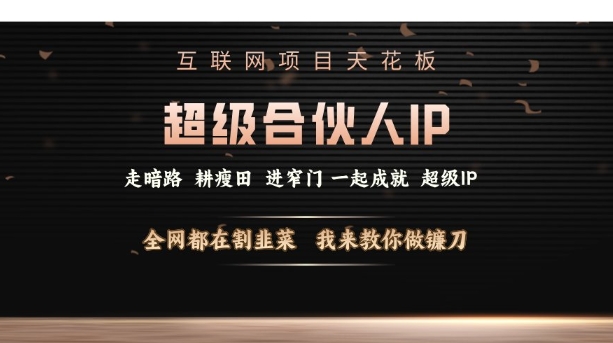 互联网项目天花板，超级合伙人IP，全网都在割韭菜，我来教你做镰刀【仅揭秘】-hcnxn