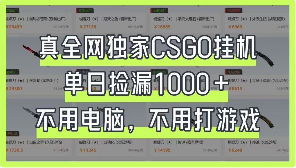 真全网独家CSGO挂机，单日捡漏1000+，不用电脑，不用养号-hcnxn