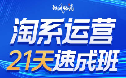 白凤电商·淘系运营21天速成班(更新5月)-hcnxn