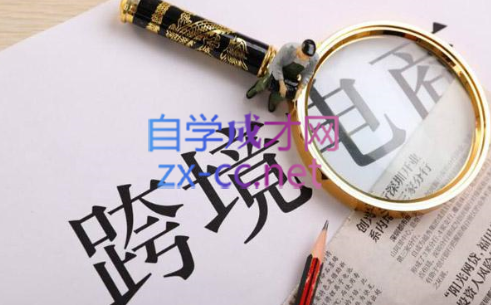 帮课大学VIP会员课程(更新2025年)-hcnxn