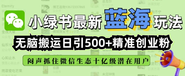 小绿书无脑搬运引流，全自动日引500精准创业粉，微信生态内又一个闷声发财的机会-hcnxn