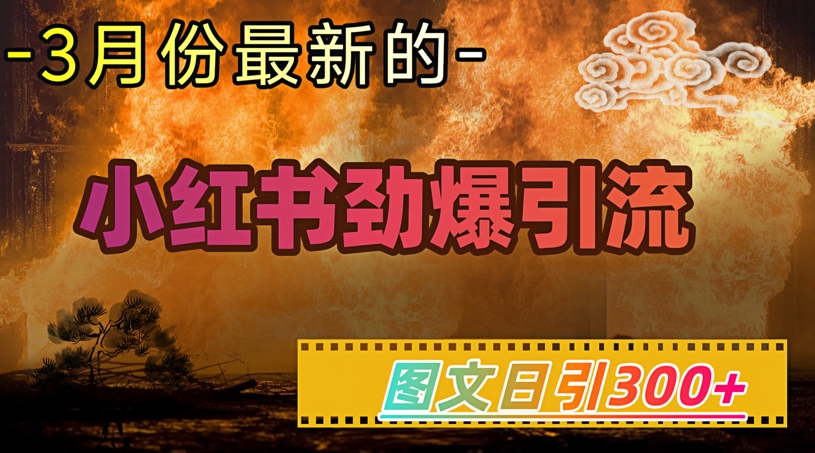 小红书超劲爆引流手段，图文日引300+轻松变现1W-hcnxn