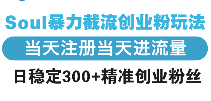 Soul暴力截流创业粉玩法，当天注册当天进流量，日稳定300+精准创业粉丝-hcnxn