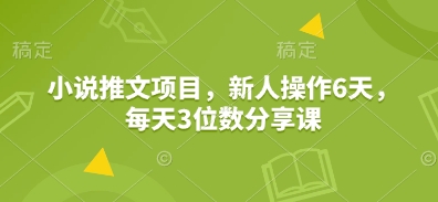 小说推文项目，新人操作6天，每天3位数分享课-hcnxn