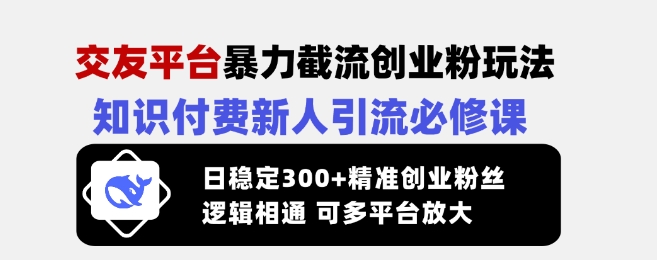 交友平台暴力截流创业粉玩法，知识付费新人引流必修课，日稳定300+精准创业粉丝，逻辑相通可多平台放大-hcnxn