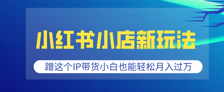 小红书小店新玩法，蹭这个IP带货，小白也能轻松月入过W【揭秘】-hcnxn