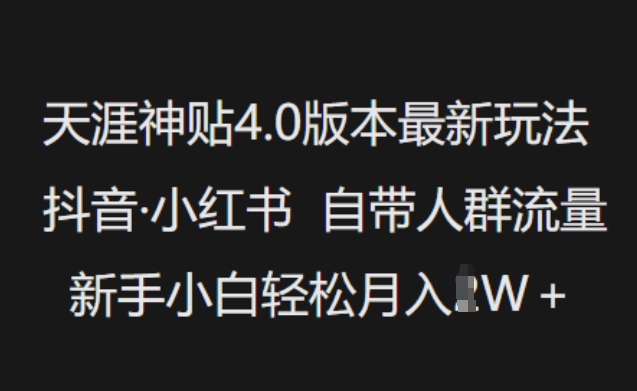 天涯神贴4.0版本最新玩法，抖音·小红书自带人群流量，新手小白轻松月入过W-hcnxn