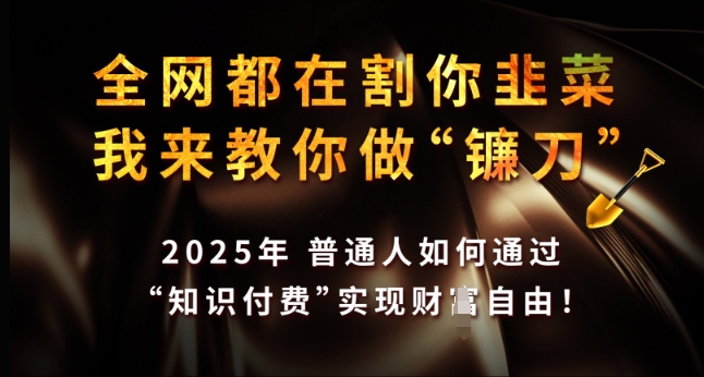 全网都在割你韭菜，我来教你做镰刀，2025年普通人如何通过 知识付费 实现财F自由【揭秘】-hcnxn