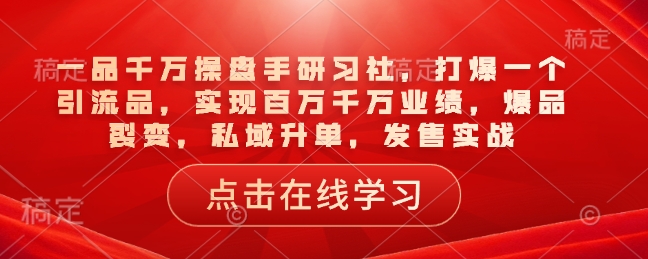 一品千万操盘手研习社，打爆一个引流品，实现百万千万业绩，爆品裂变，私域升单，发售实战-hcnxn