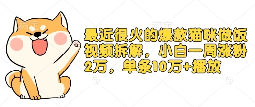 最近很火的爆款猫咪做饭视频拆解，小白一周涨粉2万，单条10万+播放(附保姆级教程)-hcnxn