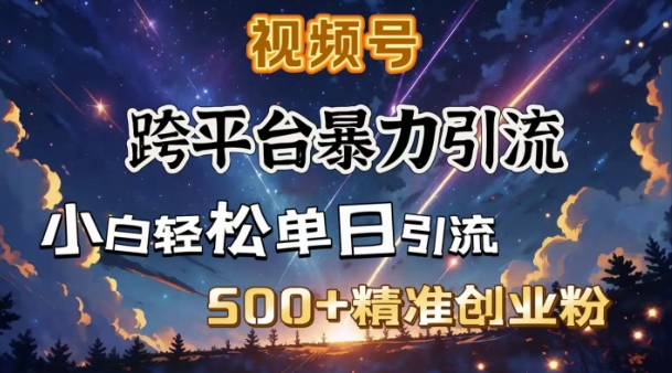 跨平台暴力引流，私域完美闭环，日引500+精准创业粉-hcnxn