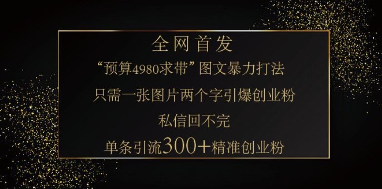 小红书神奇图片引流法，只需一张图，就能单条笔记凭借此方法，轻松引流 300 + 精准创业粉-hcnxn