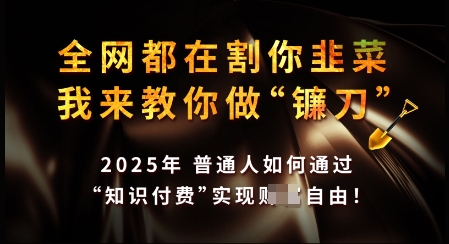 知识付费如何做到月入过W+，2025我来教你做“镰刀”【揭秘】-hcnxn