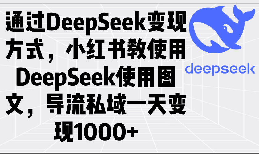 通过DeepSeek变现方式，小红书教使用DeepSeek图文，导流私域一天变现1000+-hcnxn