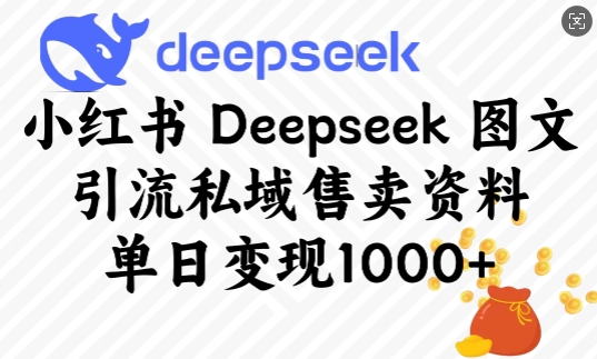 小红书Deepseek图文引流私域售卖资料，单日变现多张-hcnxn