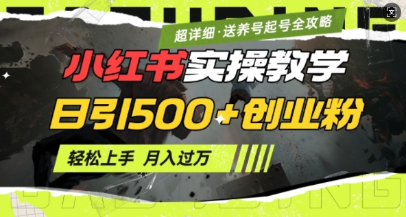 2月小红书最新日引500+创业粉实操教学【超详细】小白轻松上手，月入1W+，附小红书养号起号SOP-hcnxn