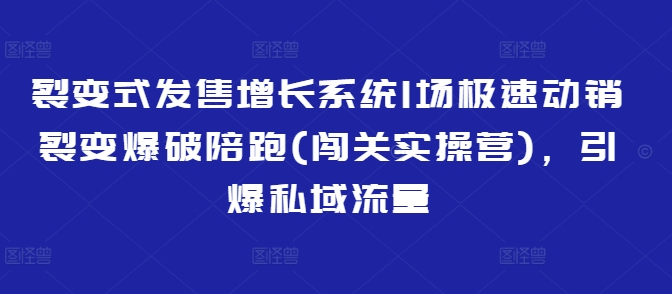 裂变式发售增长系统1场极速动销裂变爆破陪跑(闯关实操营)，引爆私域流量-hcnxn