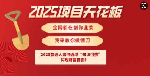 2025项目天花板普通人如何通过知识付费，实现财F自由【揭秘】-hcnxn