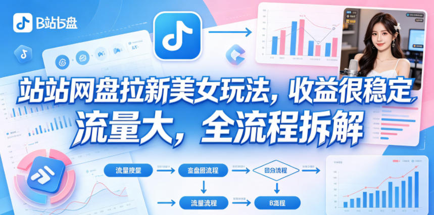 B站网盘拉新美女玩法，收益很稳定，流量大，全流程拆解-hcnxn