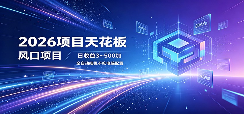 2026项目天花板，风口项目，日收益3~500+全自动挂机，不吃配置-hcnxn