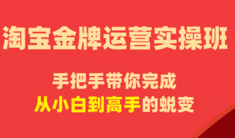 飓风电商·淘宝金牌运营实操班-hcnxn