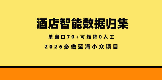酒店智能数据归集，小众蓝海已经稳定半年之久，单窗口70+零成本矩阵开干【揭秘】-hcnxn