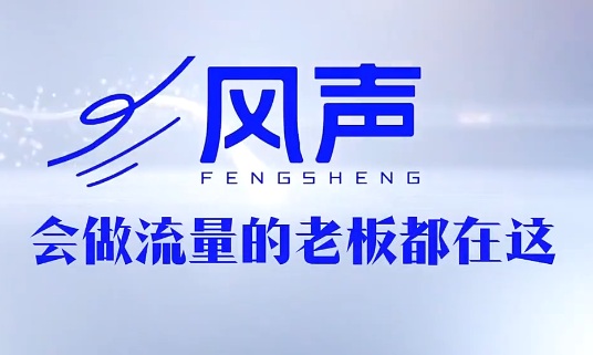 董十一·风声短视频AI获客年度会员-hcnxn