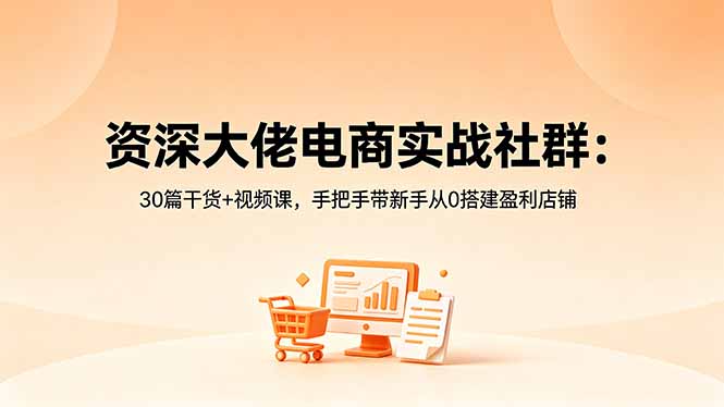 资深大佬电商实战社群：30篇干货+视频课，手把手带新手从0搭建盈利店铺-hcnxn