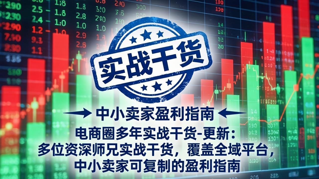 电商圈多年实战干货-更新5月20：多位资深师兄实战干货/覆盖全域平台，中小卖家可复制的盈利指南-hcnxn