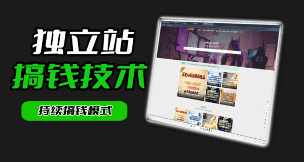 干货来袭！麦子甜带你吃透独立站｜从搭建到引流一站式教学《独立站》第一期-hcnxn