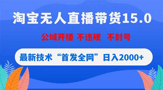 淘宝无人直播带货15.0，不封号，不违规，公域玩法，首发全网日入2000+-hcnxn