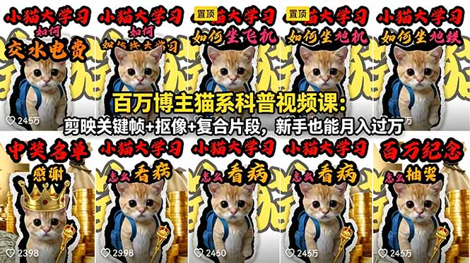 百万博主猫系科普视频课：剪映关键帧+抠像+复合片段，新手也能月入过万-hcnxn