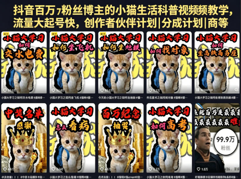 抖音百万粉丝博主的小猫生活科普视频教学，流量大起号快，创作者伙伴计划|分成计划|商单|收徒等-hcnxn