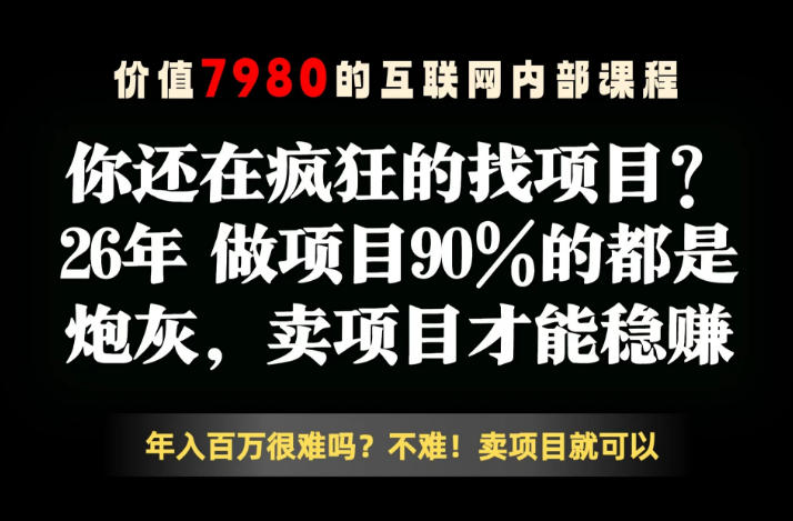26年请不要疯狂的找项目了，卖项目远比你想象的暴利，你也可以月入10W+【揭秘】-hcnxn