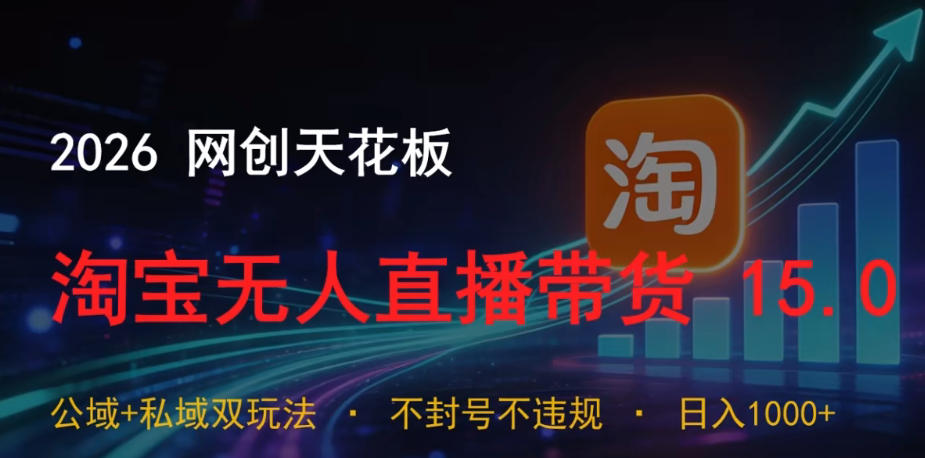 2026网创天花板，淘宝无人直播带货15.0，公域+私域双玩法，日入1k+，不违规不封号【揭秘】-hcnxn