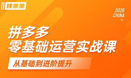 仙道电商·拼多多零基础运营实战课-hcnxn