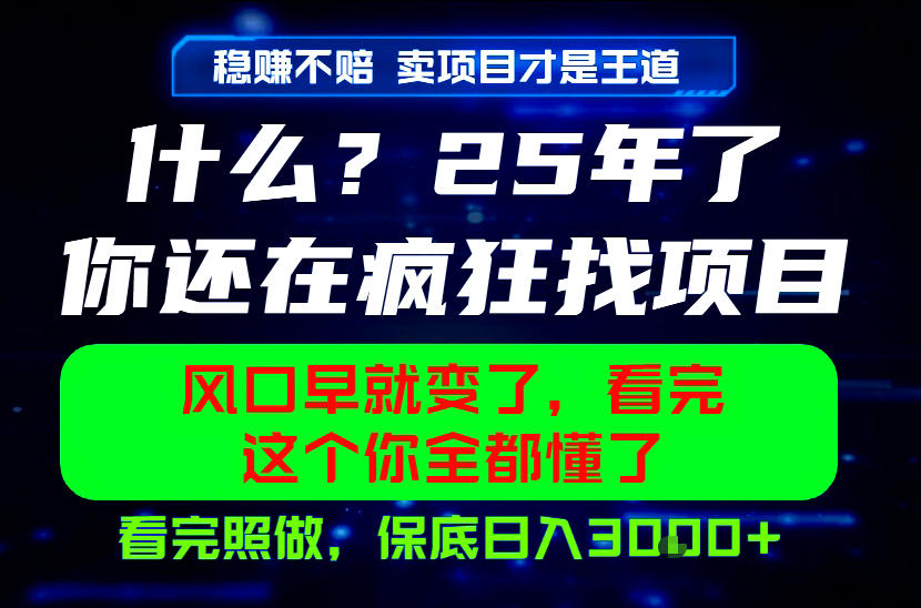 26年，请不要疯狂的找项目做了！卖项目才是真的稳賺不赔，看完照做，保底日入1k+【揭秘】-hcnxn