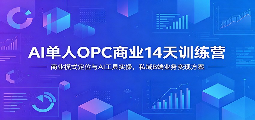 AI单人OPC商业14天训练营：商业模式定位与AI工具实操，私域B端业务变现方案-hcnxn