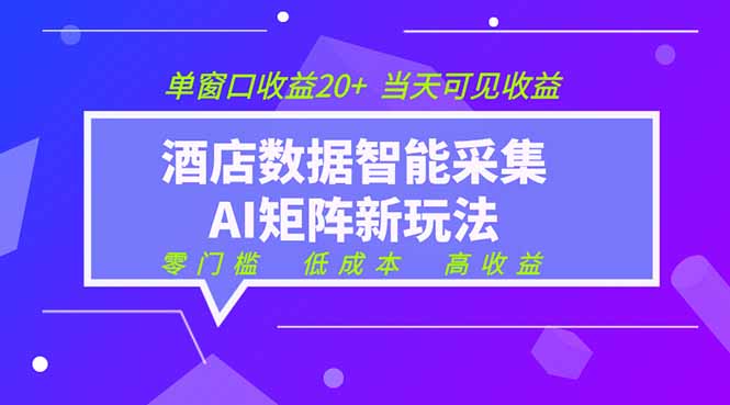 2026酒店数据采集ai智能矩阵新风口  低成本   高收益   当天见收益   单窗口20+-hcnxn