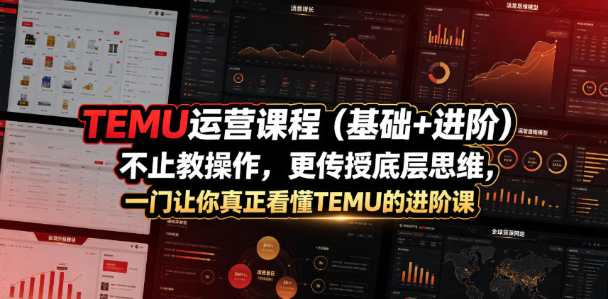 TEMU运营课程(基础+进阶)，不止教操作，更传授底层思维，一门让你真正看懂TEMU的进阶课-hcnxn