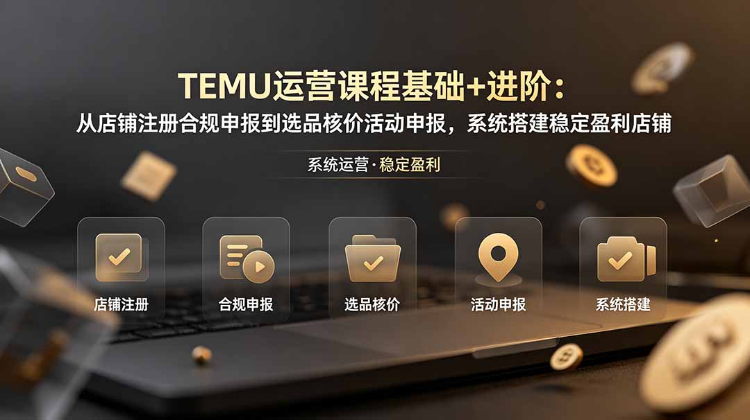 TEMU运营课程(基础+进阶-hcnxn