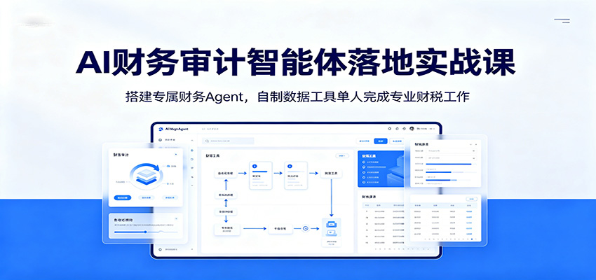 AI财务审计智能体落地实战课：搭建专属财务Agent，自制数据工具单人完成专业财税工作-hcnxn