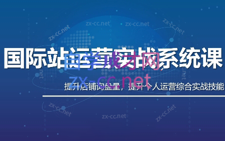 白老师·国际站运营实战系统(高质量询盘增长课)(更新)-hcnxn